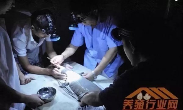 資本試水區(qū)塊鏈生物科技+大健康，場(chǎng)景應(yīng)用時(shí)代已然來臨！